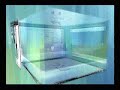 Dual O/S 3D Visual