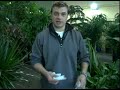 Plant Care Guide: Green Thumb Techniques : How to Clean House Plants Plant Care Guide: Green Thumb Techniques : How to Clean House Plants