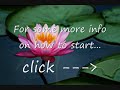 Make fast money online at home!!