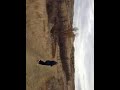 video1.mov Video video1.mov Video