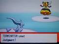pokemon d/p elite 4 part 1