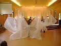 Danza con Alas Danza con Alas