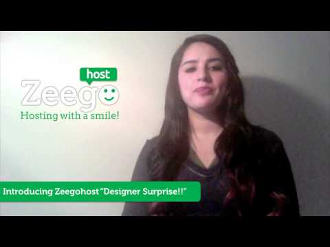 zeego host YouTube Pitch Preview