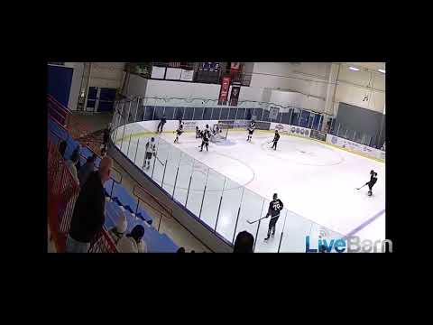 Shot block in d-zone