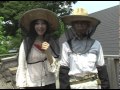 [画像]
