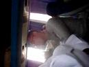 the zoool and haroon story in ain sokhna , egypt 2007 november. by mlj