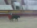 videos de jonthan toreando