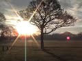 Morning Walk