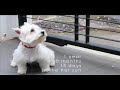 Live Aware - What if you were tied to a pole for your whole life?