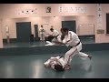 Shorinjiryu Kenkokan Karate kata and Kumite demo Shorinjiryu Kenkokan Karate kata and Kumite demo