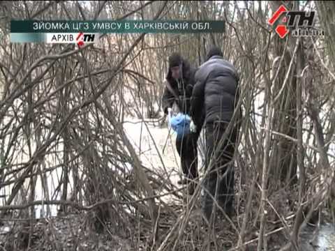 Смотреть видео