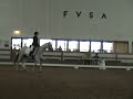 Barb Dressage FVSA Barb Dressage FVSA
