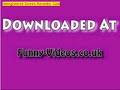 Funny animals accidents and stuff Funny animals accidents and stuff