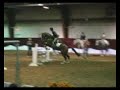 Canadian Warmbloos Gala12
