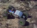 Komodo Komodo