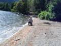 Pesca con mosca Lago Stefen