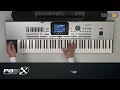 KORG TV / Pa3X MUSIKANT: 