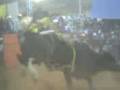 Ganaderia Cuisillos (monarca).3gp