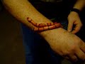 Psycho-Hypo Honduran Milk Snakes