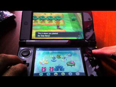how to get more berries in pokemon x