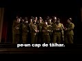 Corul vanatorilor de hoti si banditi