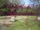 Campamento La Acebeda 2008