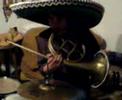 Niggl an schlagzeug und horn
