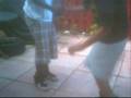 videos de bop wit it!