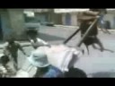 Overloaded Donkey
