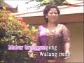Waljinah : Walang Kekek