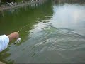 PRP main pond fishing part 3