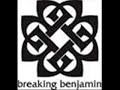 Breaking Benjamin - Break My Fall (with lyrics)