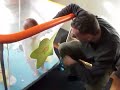 Cillian standing in play pen