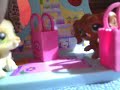 Littlest Pet Shop - Fashionista twins episode 1#