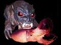 Cryptozoology: Cryptozoology: