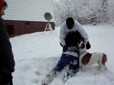 humiliation wrestling