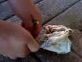 explosion sur une culotte d une femme