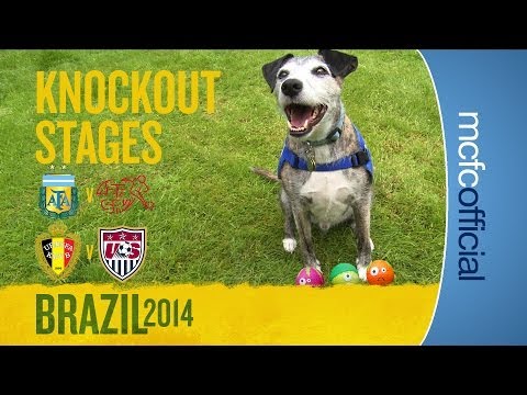 DOUGIE THE DOG PREDICTS | Argentina & Belgium World Cup Predictions DOUGIE THE DOG PREDICTS | Argentina & Belgium World Cup Predictions