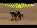 See video