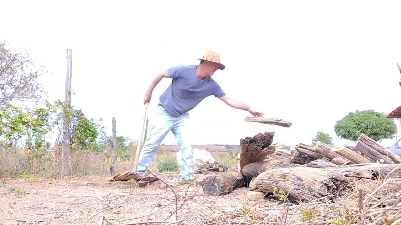 The woodcutter