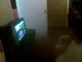 videos de El hexxagon te hace mal amiguin...