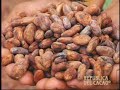 Rep�blica del Cacao