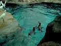 حديقة حيوان برشلونة بعين مغربية