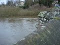 Haunted & Historic Farndon Bridge