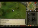Runescape daily news