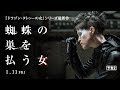 映画『蜘蛛の巣を払う女』予告2（2019年1月11日公開）