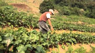 Bancos comunales en la área rural del Merendón, Honduras