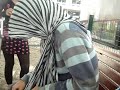 joao � estupido
