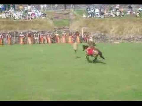 Roman Day - Caerleon 1st July '06 - ...