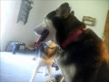 I WANNA SIT NEXT TO MAMA!.wmv I WANNA SIT NEXT TO MAMA!.wmv